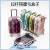A pair of mini suitcases with a handle, a pair of mini suitcases, a false eyelash box, a packaging box, a mini storage suitcase details Picture